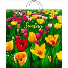 Пакет петл.40х42+6 (50)  Поле тюльпанов (25/500) Инт