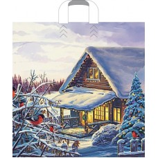 Пакет петл.45х45+3 (60) НГ Домик в лесу (25/250) Арт