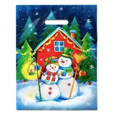 Пакет выр. 31х40 (60) НГ Снежная пара, ламин (50/500) Интер